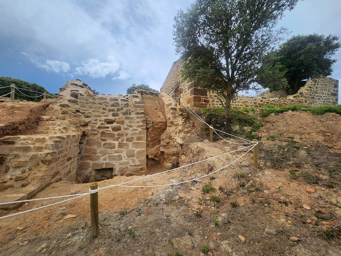 Tejera general